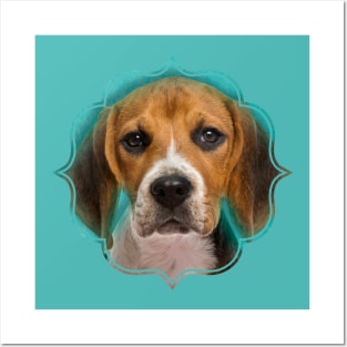 Beagle dog Posters and Art